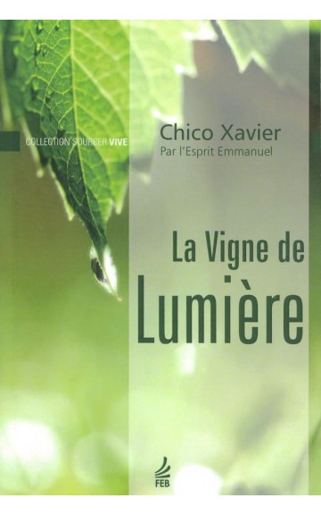 Livre : La Vigne de Lumière nouvelle édition