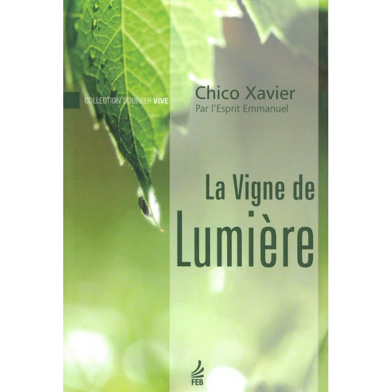 Livre : La Vigne de Lumière nouvelle édition