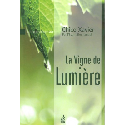 Livre : La Vigne de Lumière nouvelle édition