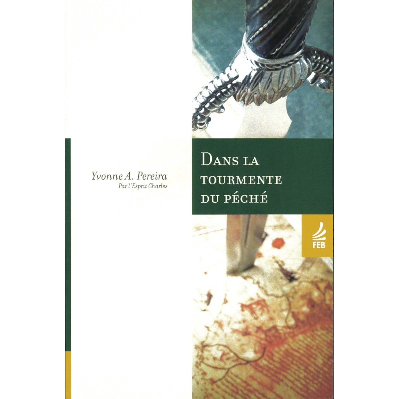 Livre : Dans la tourmente du péché Livre : Dans la tourmente du péché