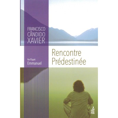 Livre : Rencontre prédestinée