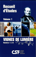 vignes de lumière