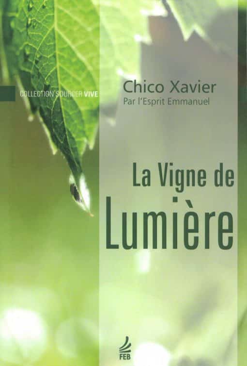 la vigne de lumière