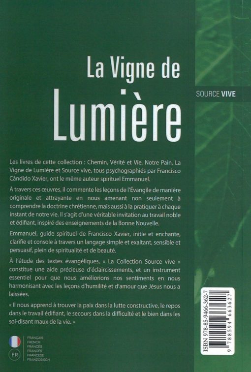 la vigne de lumière